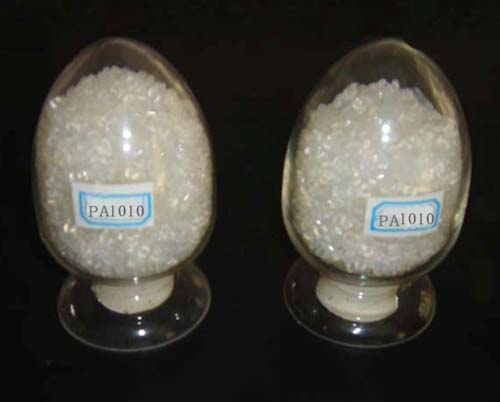 Nylon PA1010 Resin